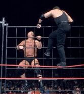 Steel Cage Images.16