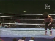 March 24, 1980 MSG.00044.jpg (23 KB)