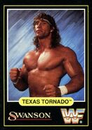 1991 Swanson WWF Texas Tornado