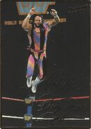 1994 WWF Action Packed Macho Man Randy Savage (No.13)