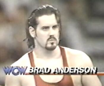 Brad anderson