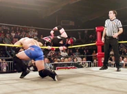 TNA 12-11-02 19.jpg (35 KB)