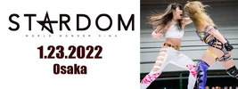 Stardom 11th Launching Anniversary