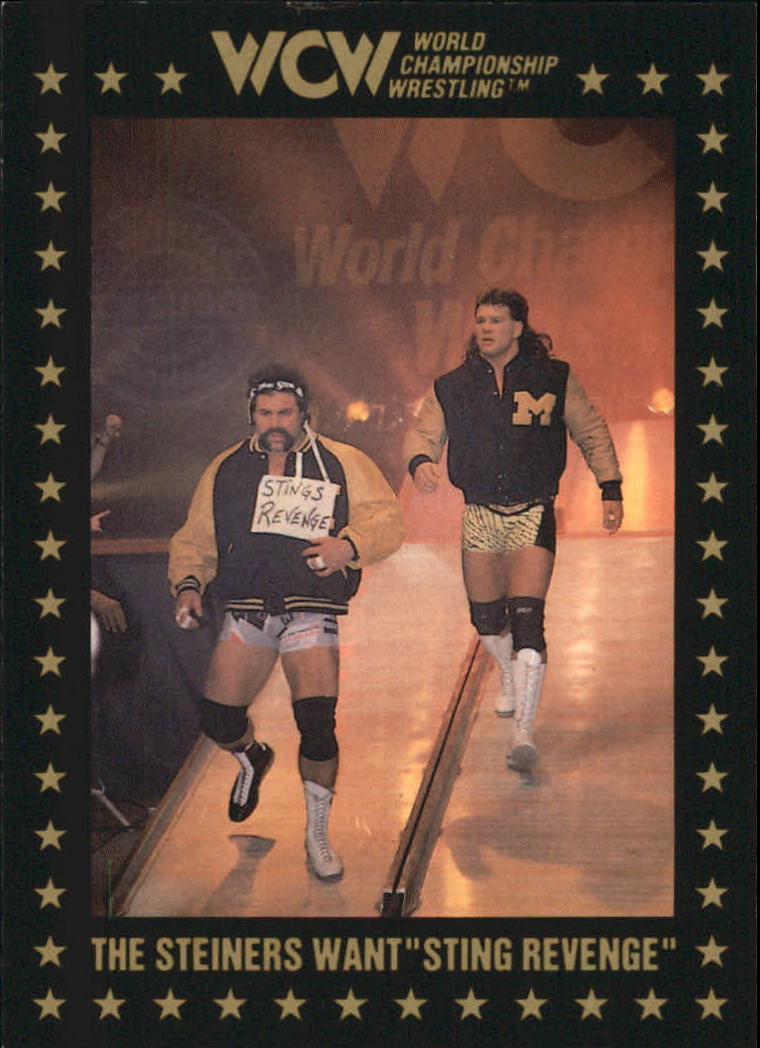 1991 Wcw Collectible Trading Cards Championship Marketing The Steiners Want Sting Revenge 0543