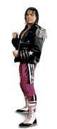 Bret Hart Full