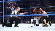 Elimination Chamber 2017.57.jpg (106 KB)