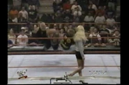 Owen Hart and Jeff Jarrett attack D-Lo Brown