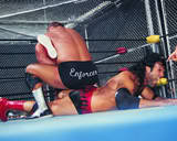 Arn Anderson7