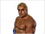 Dino Bravo