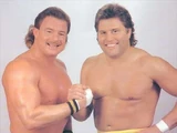 The Killer Bees