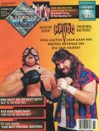 WCW Magazine - November 1993