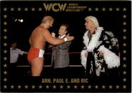 1991 WCW Collectible Trading Cards (Championship Marketing) Arn, Paul E. and Ric (No.48)