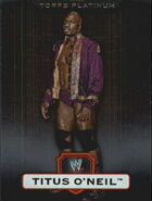 2010 WWE Platinum Trading Cards Titus O'Neal 85