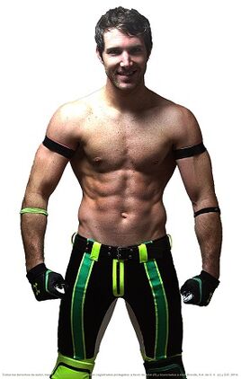 Angelico2015