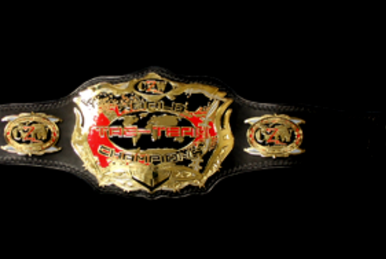 wXw Unified World Wrestling Championship - Wikipedia