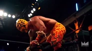 May 27, 2015 Lucha Underground.00015.jpg (24 KB)