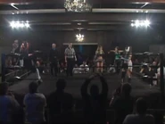 Shimmer 40.00058.jpg (34 KB)