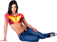 AJ Lee 13 09October2014