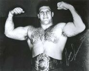 Bruno Sammartino 5