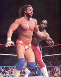 Randy Savage6