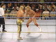 WrestleWar 1991.00010.jpg (22 KB)