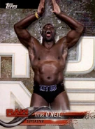 2018 WWE Wrestling Cards (Topps) Titus O'Neil (No.89)