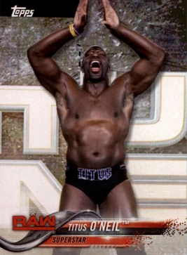 2018 WWE Wrestling Cards (Topps) Titus O'Neil 89