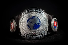 Art of Wrestling Championship