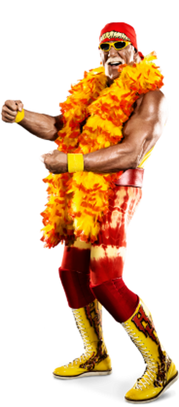 Hulk Hogan Pro Wrestling Fandom