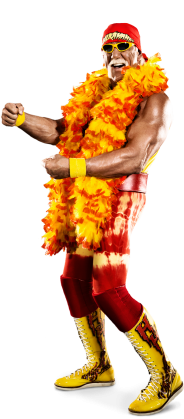 Hogan Pro Wrestling |