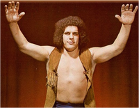 AndretheGiant70s