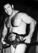 Brunosammartino5