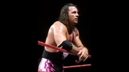 Montreal Screwjob.6.jpg (16 KB)