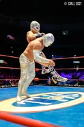 CMLL 7-23-21 24.jpg (174 KB)