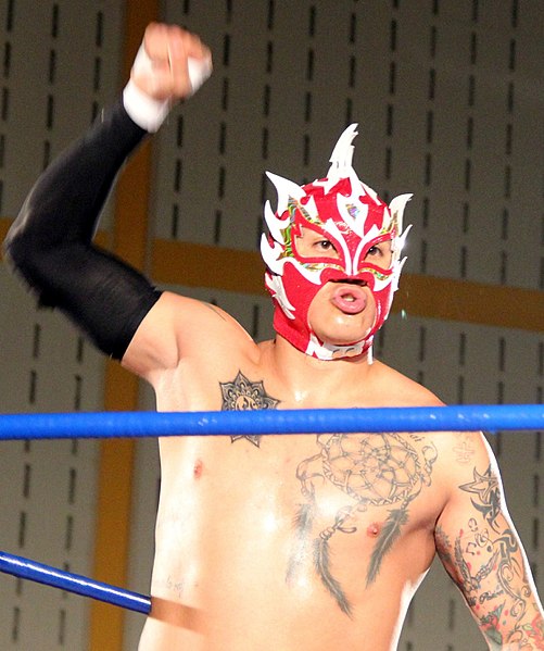 Lucha libre, Pro Wrestling Wiki