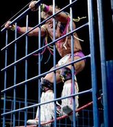 Steel Cage Images.10