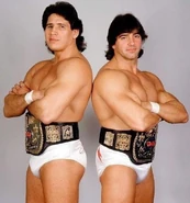 Strike Force (October 27, 1987 - March 27, 1988)