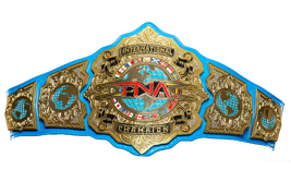 TNA International Championship