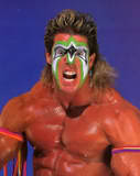 Ultimate Warrior26