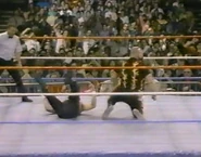 1.16.88 WWF Superstars.00008.jpg (84 KB)