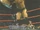 2003 WWE WrestleMania XIX (Fleer) Johnny Stamboli (No.39)