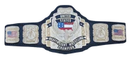 WCW US TITLE 1991-1995.png (106 KB) WCW United States Heavyweight Championship (1991-1995)