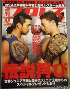 Weekly Pro Wrestling No. 1444 November 5, 2008