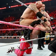 10-24-16 Raw 10.jpg (106 KB)