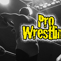 World Wrestling Entertainment programs