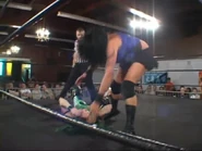 Shimmer 40.00026.jpg (42 KB)