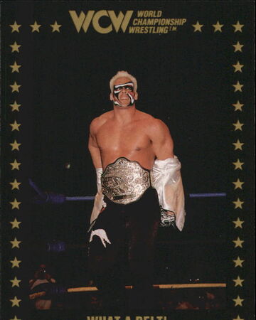 1991 Collectible Cards (Championship Marketing) a Belt! | Pro Wrestling | Fandom