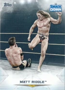 2020 Topps WWE Undisputed Wrestling Cards Matt Riddle (No.40)