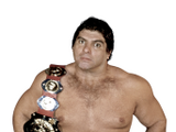 Don Muraco