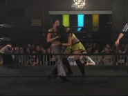 Shimmer 40.00052.jpg (33 KB)